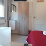 O Cabalo * Palas de Rei